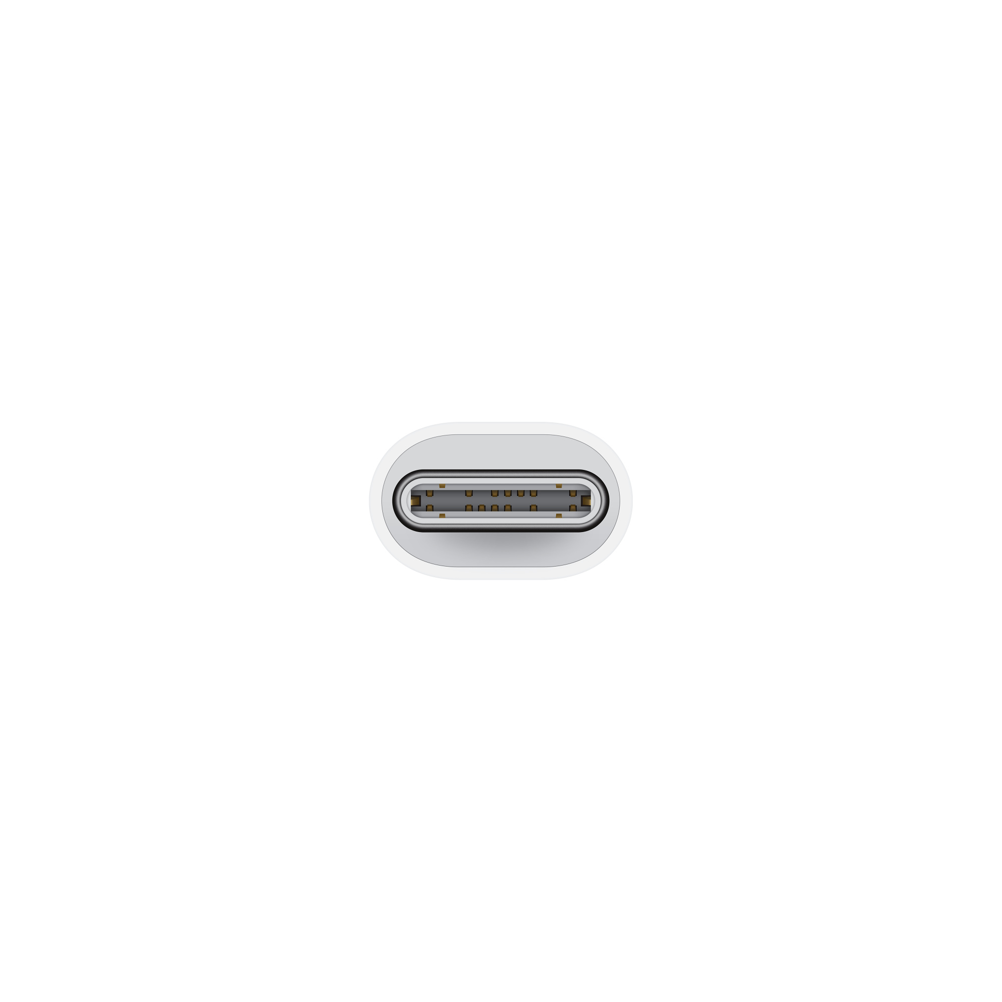 USB-C bağlantı noktası, doğrudan açıklıktan görüntüleniyor. Bağlantı noktasının içinde çok sayıda metal konektör görülebilir.
