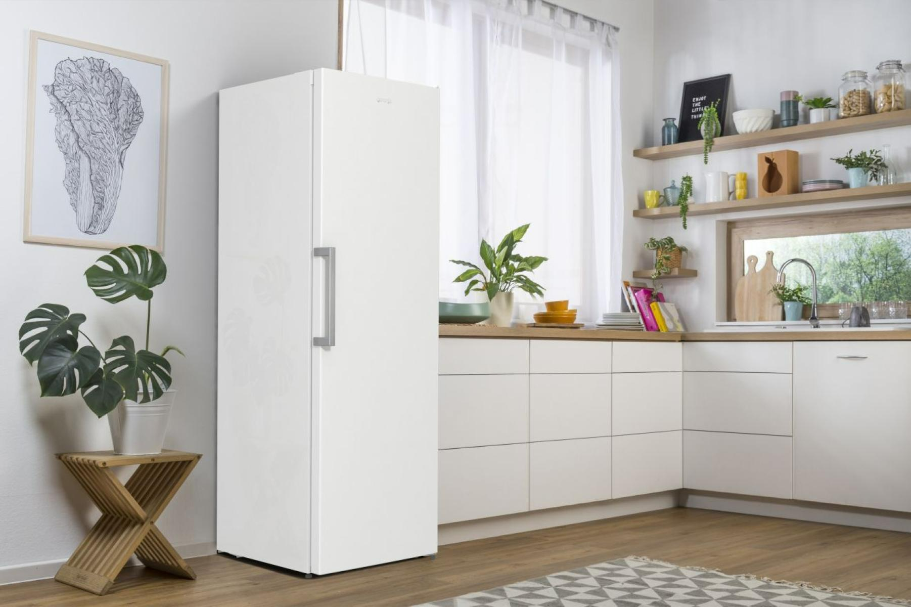 Fehér hűtőszekrény a konyhában. Egyszerű a designja. Egy növény és egy műalkotás is látható.