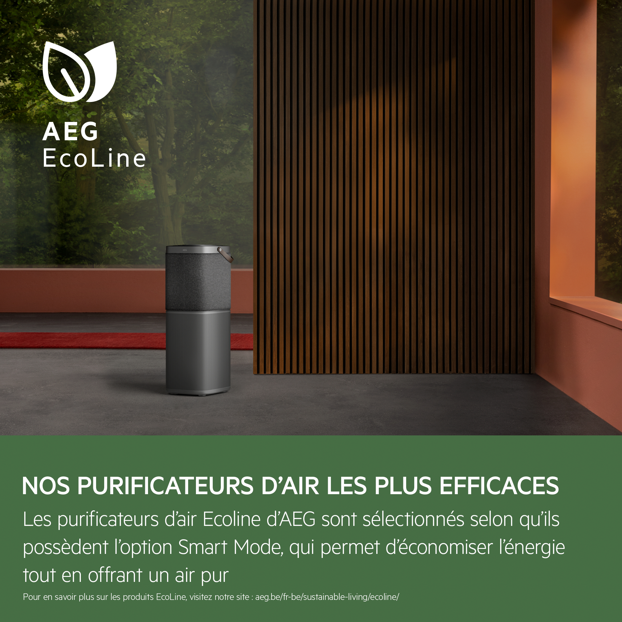 AEG Purificateur d'air (AX91-604DG)