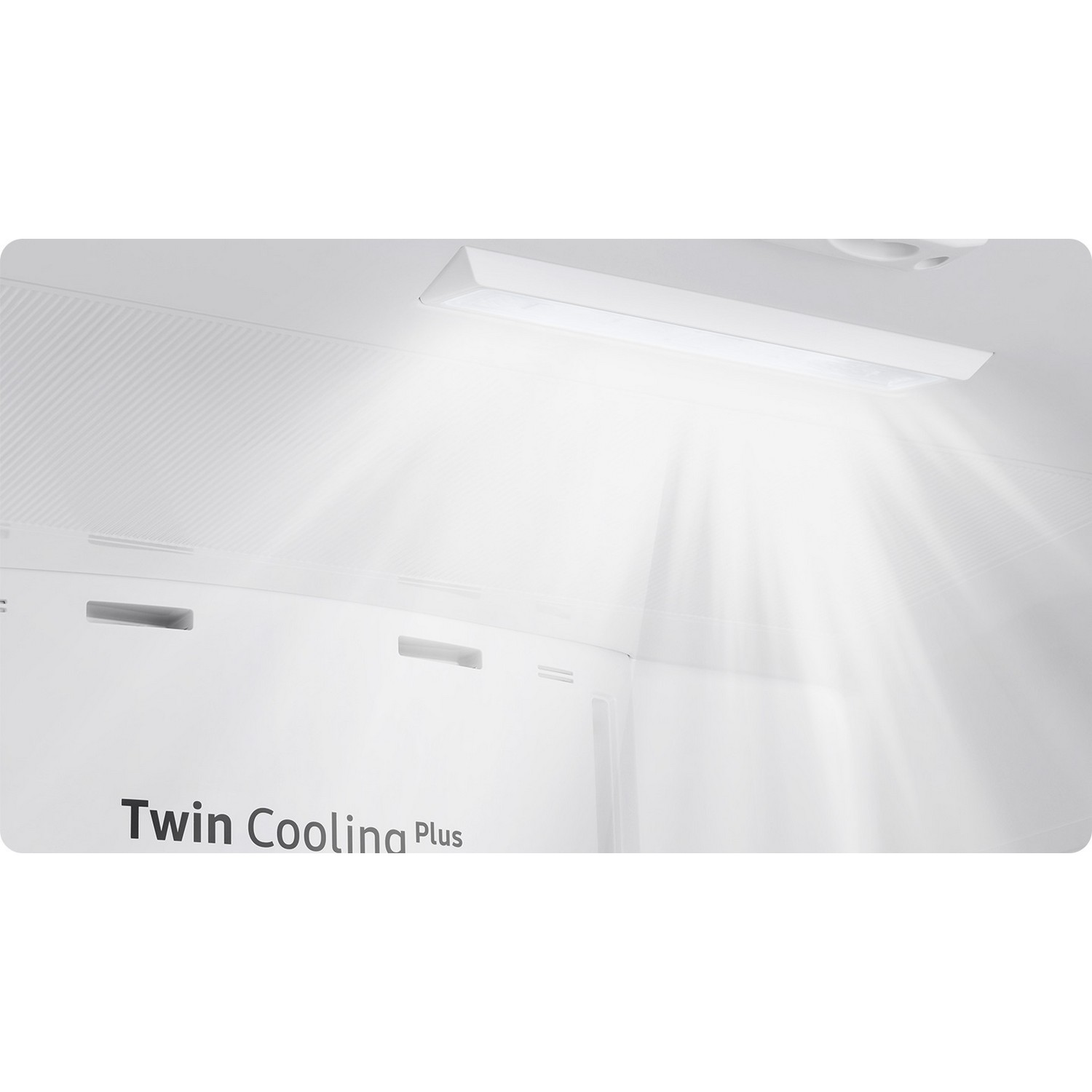Inside a refrigerator: bright light, Twin Cooling Plus text.