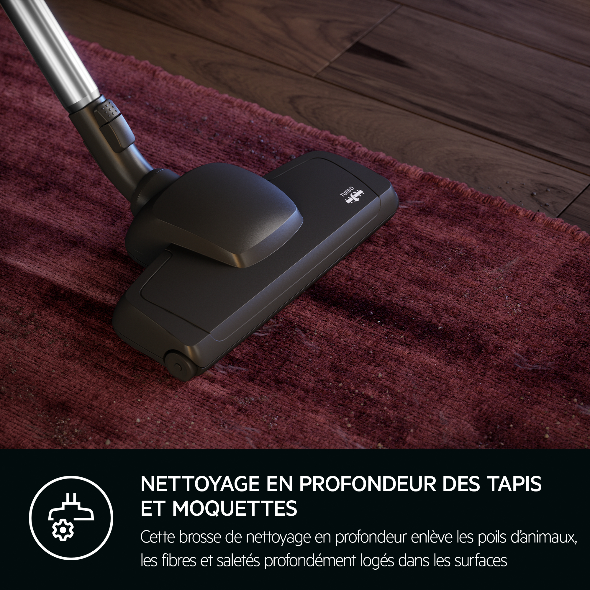 Tête d'aspirateur nettoyant un tapis rouge. Texte : Nettoyage en profondeur des tapis et moquettes.