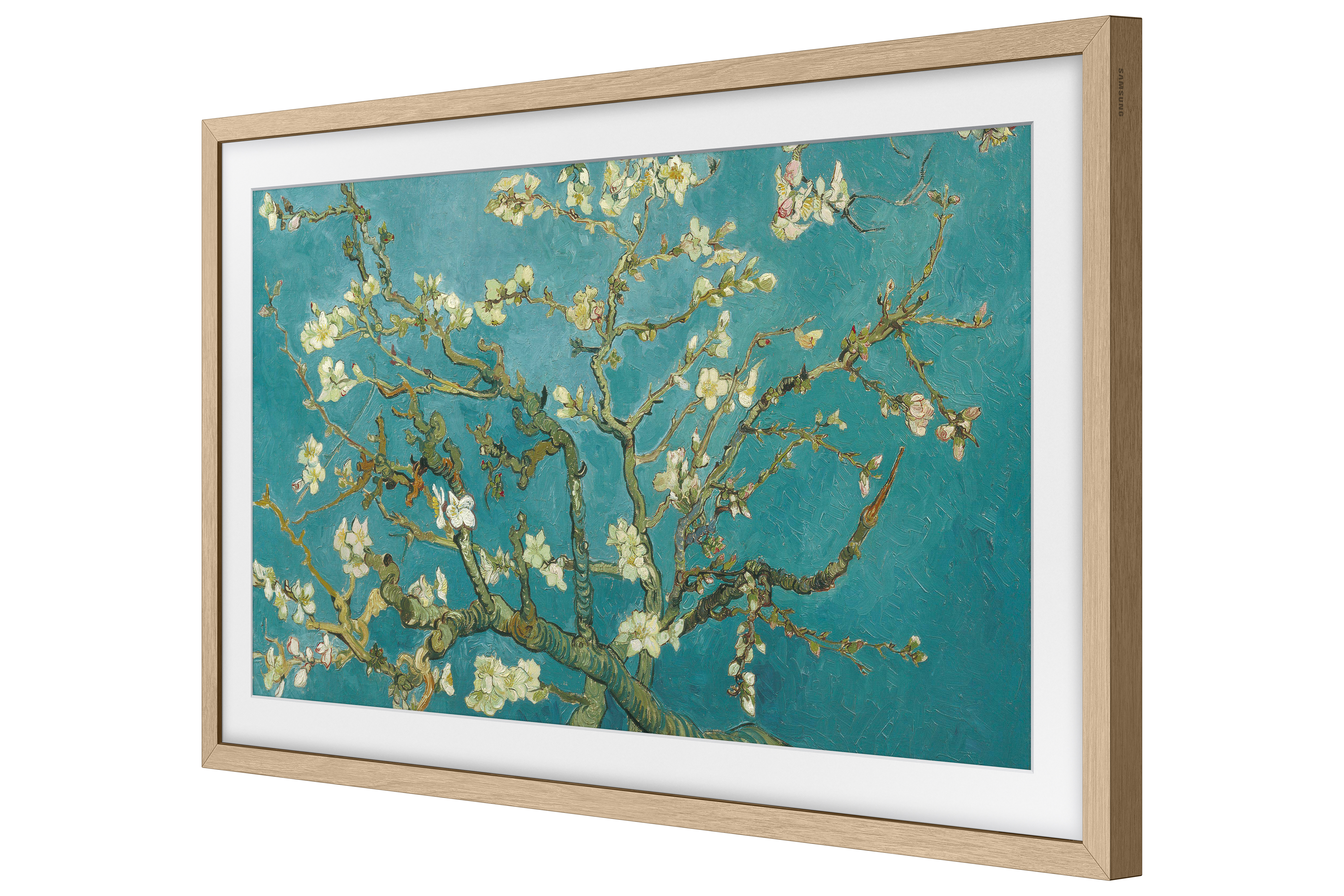 Una pintura de ramas de almendro en flor sobre fondo turquesa.