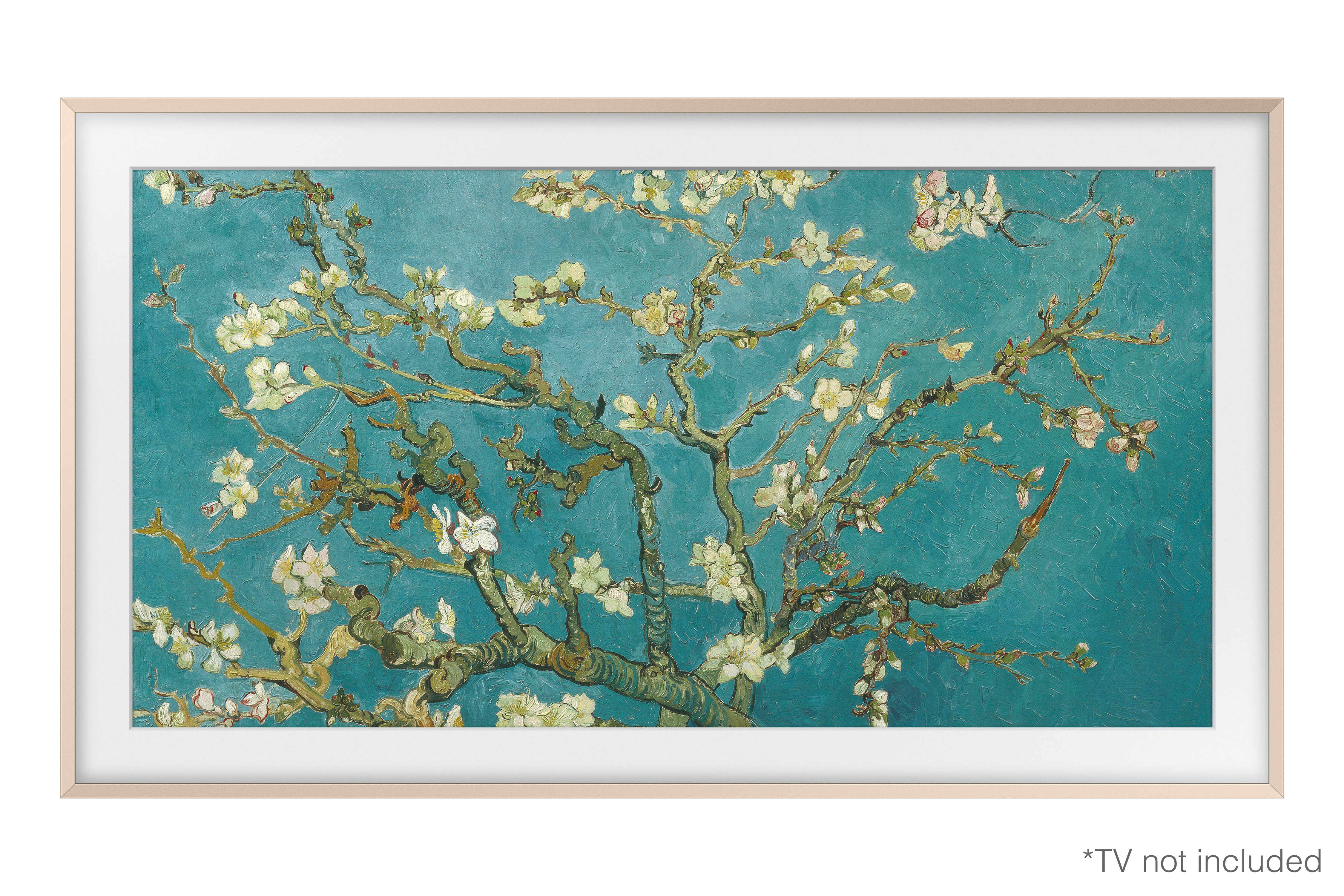 Una rama de almendro en flor sobre un fondo turquesa.