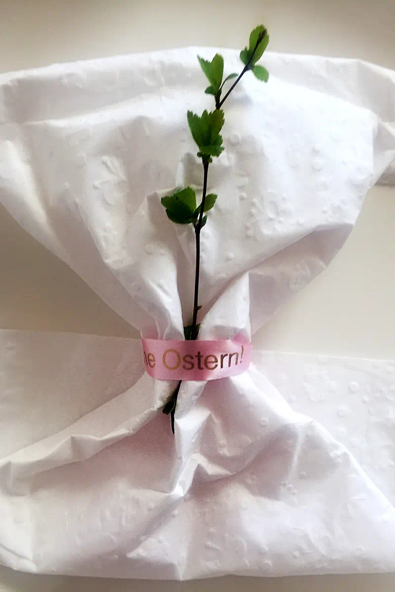 Weißes Papier mit einer grünen Pflanze und einem rosa Band mit dem Text „Frohe Ostern!“ dekoriert.