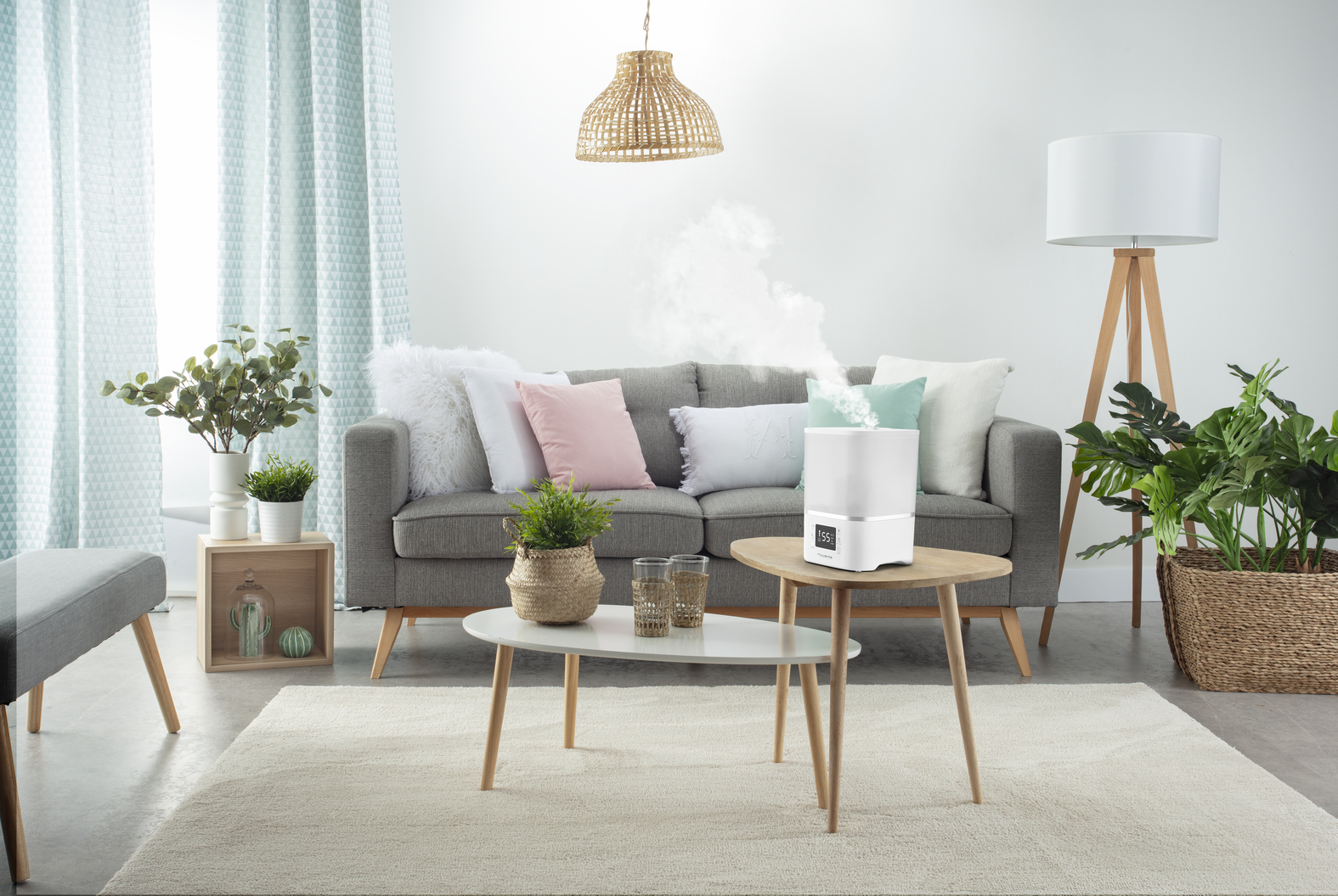 A living room with a grey sofa, a humidifier, plants, and a light-colored rug.