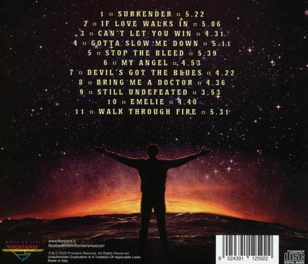 CD-Cover mit Silhouette einer Person mit ausgestreckten Armen unter Sternenhimmel.