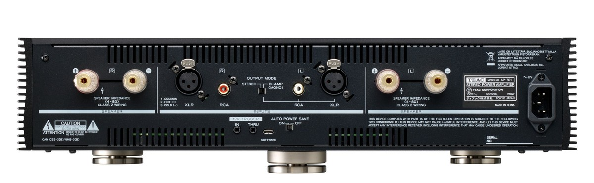 Rückseite eines schwarzen TEAC Stereo-Leistungsverstärkers mit Ein- und Ausgängen.