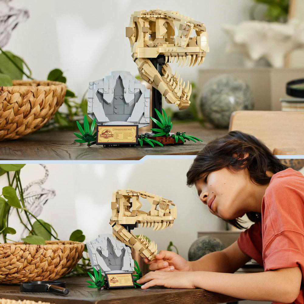 Junge untersucht Dinosaurierskelettmodell. Zwei Modelle sind aufgebaut. Eines ist montiert.