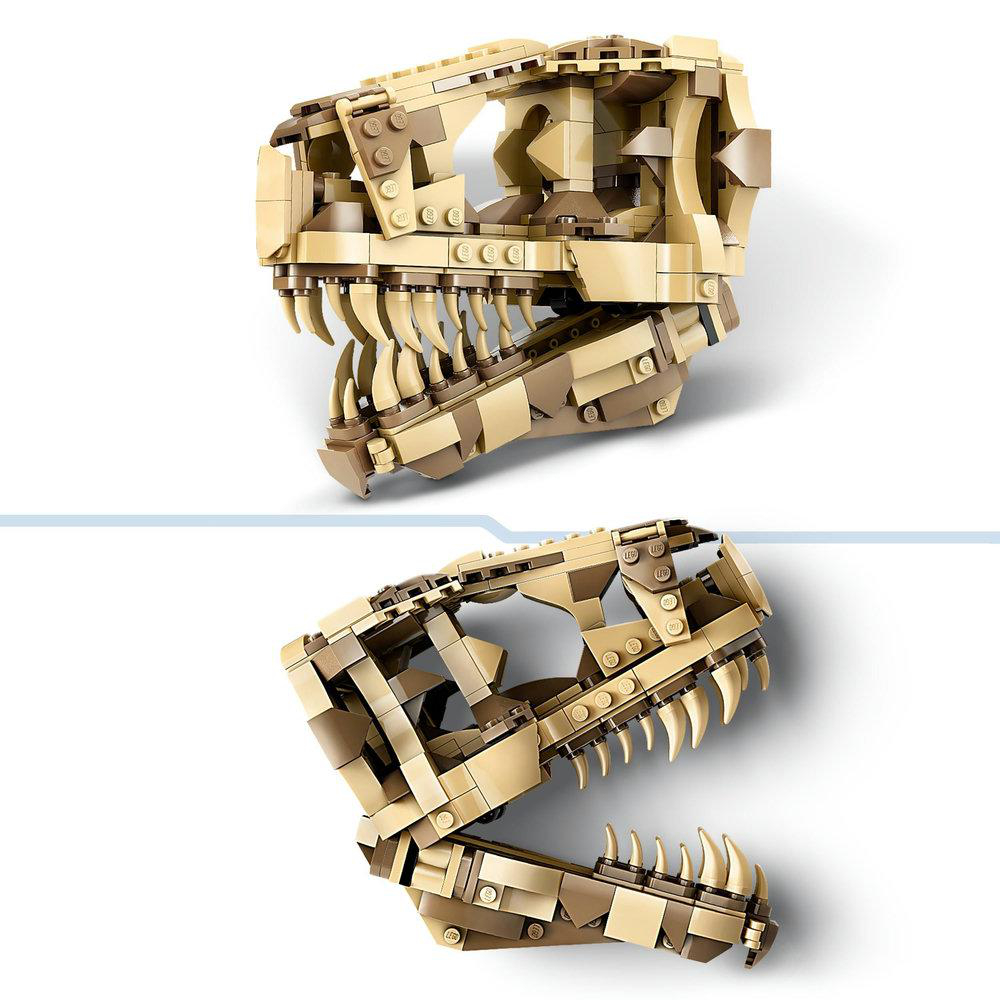 Lego Dinosaurierschädelmodell in Beige- und Brauntönen, zeigt den Schädel.