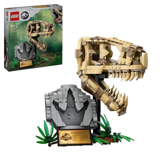 LEGO Jurassic World 76964 Dinosaurier-Fossilien: T.-rex-Kopf Bausatz, Mehrfarbig