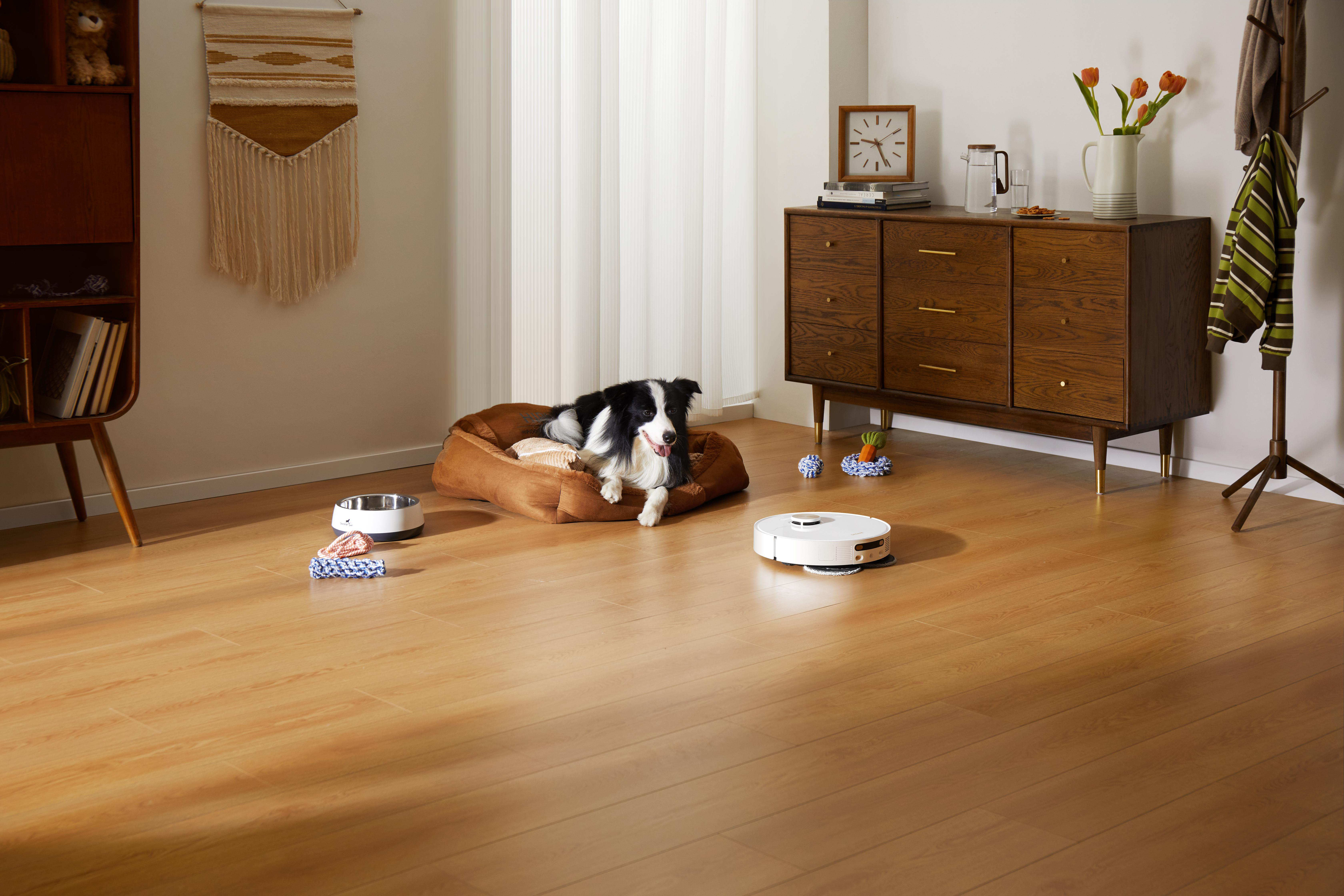 Zimmer mit Hund auf einem Hundebett, Roboterstaubsauger auf dem Boden und Möbeln. Holzboden.