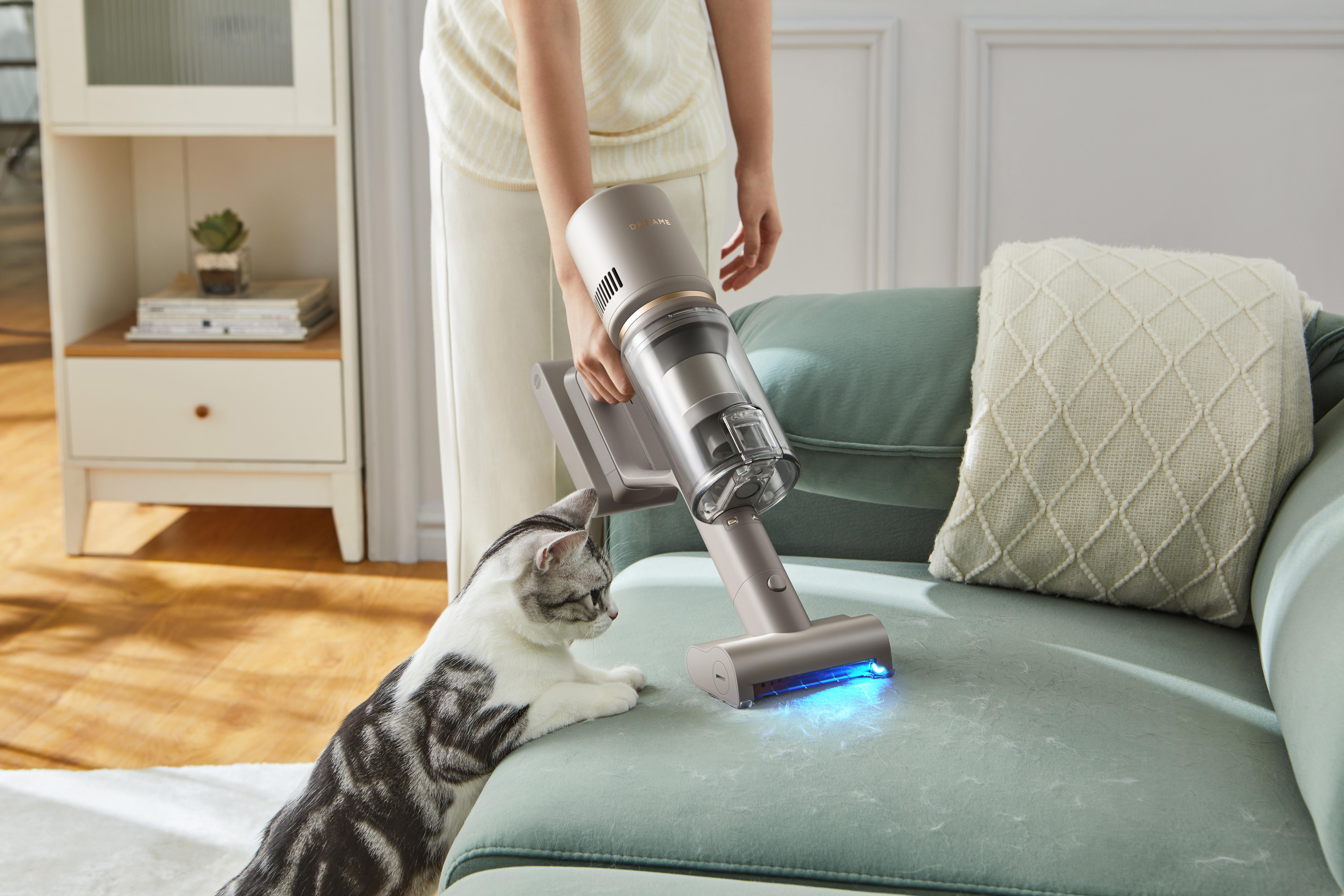 Eine Katze und eine Frau, die einen Staubsauger auf einem blauen Sofa benutzt.