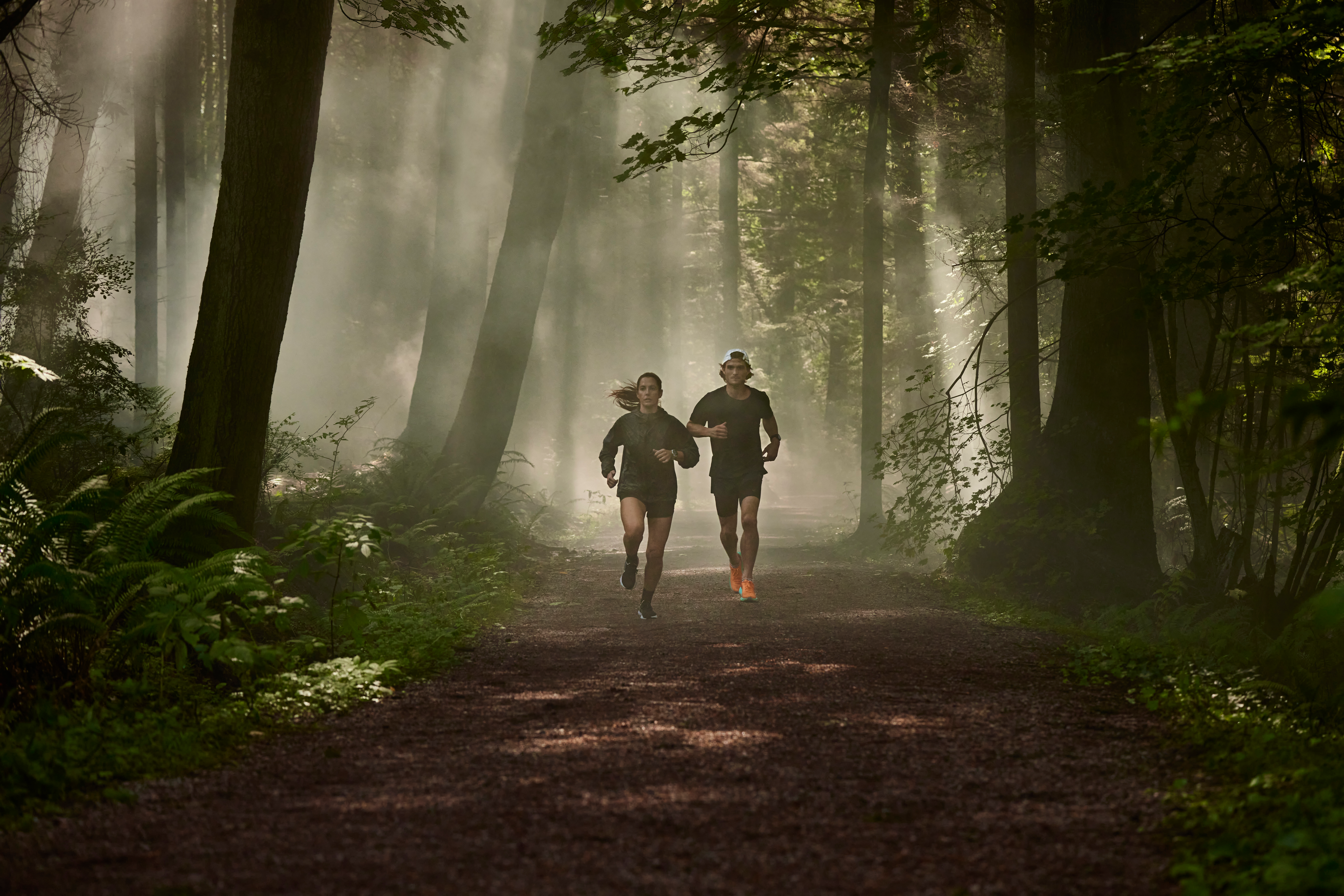 Une personne marche sur un sentier dans une forêt avec la lumière du soleil et du brouillard.