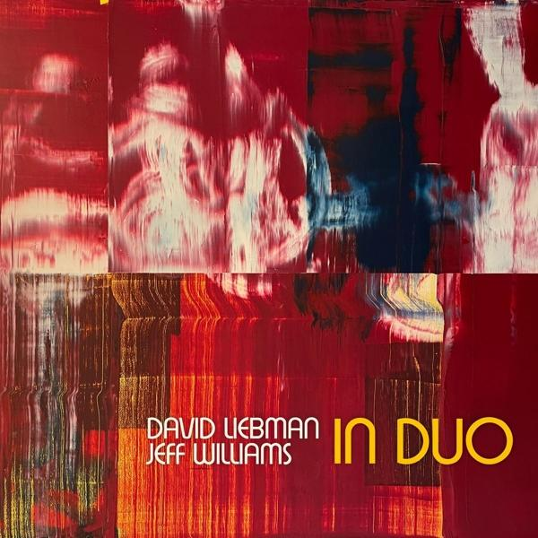 (Vinyl) - Duo In Williams Dave/jeff - Liebman