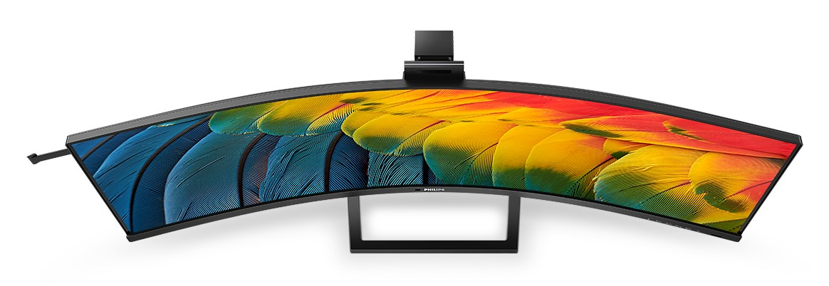 Gebogener Monitor mit Papageien-Kunstwerk-Anzeige. Schwarzer Ständer und Rahmen. Weißer Hintergrund.