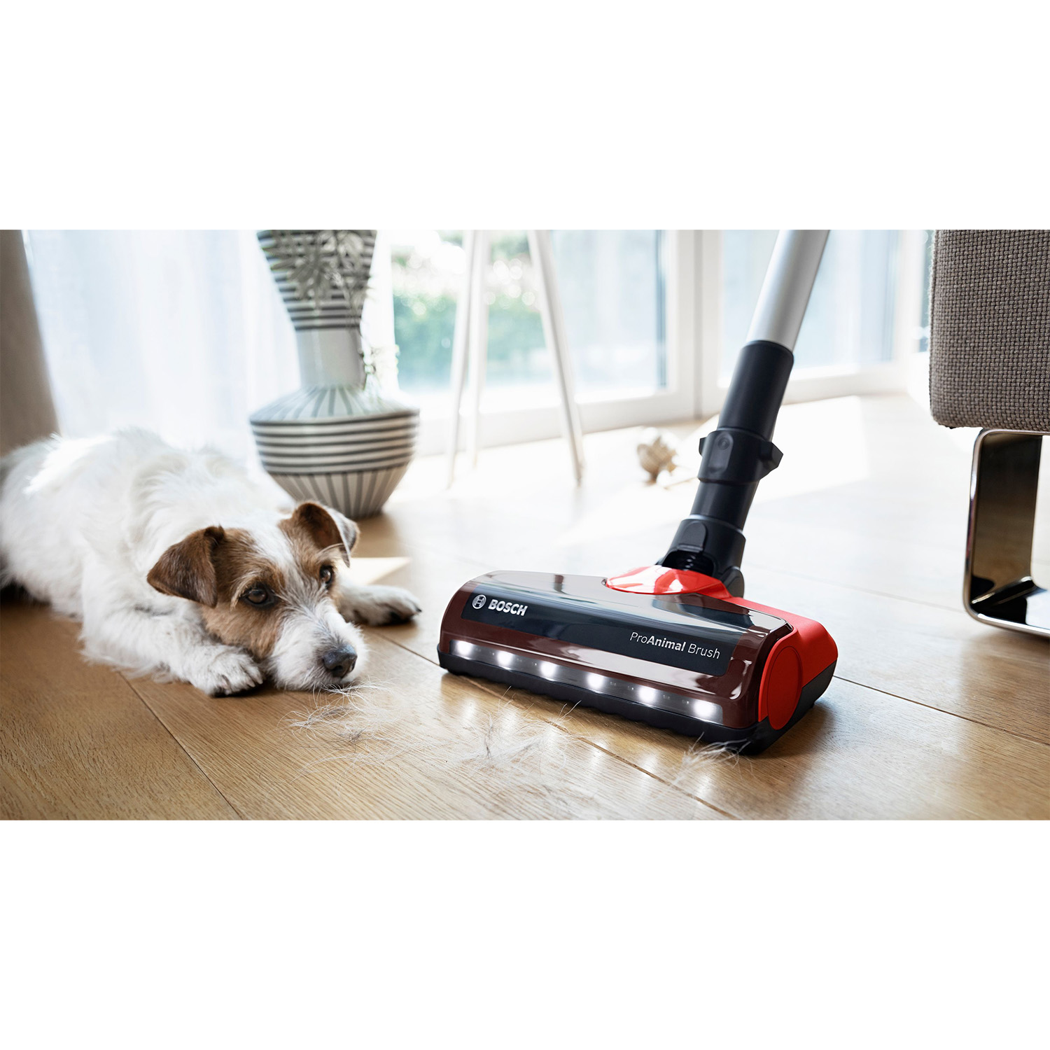 Aspirapolvere con un cane sdraiato sul pavimento.
