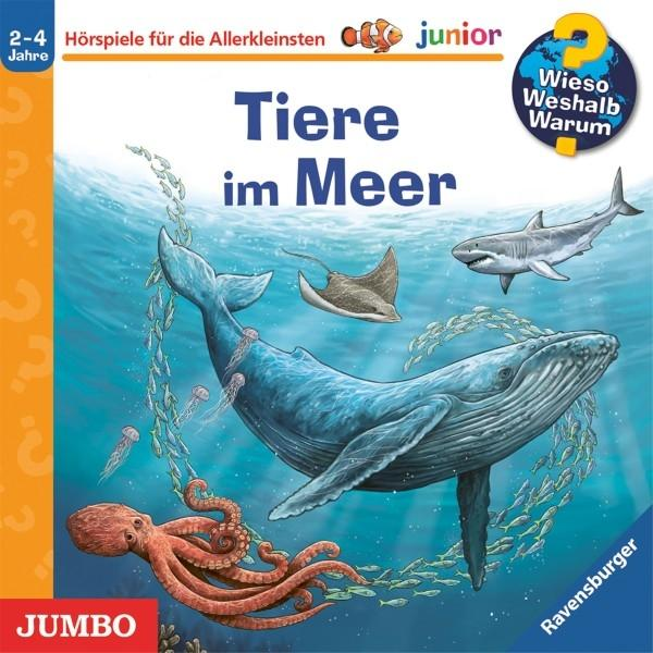 Wieso? An - (CD) Warum? Niklas Lorent, Saan, Heinecke (Folg Junior: Weshalb? - /van Meer de Tiere im und Sofia