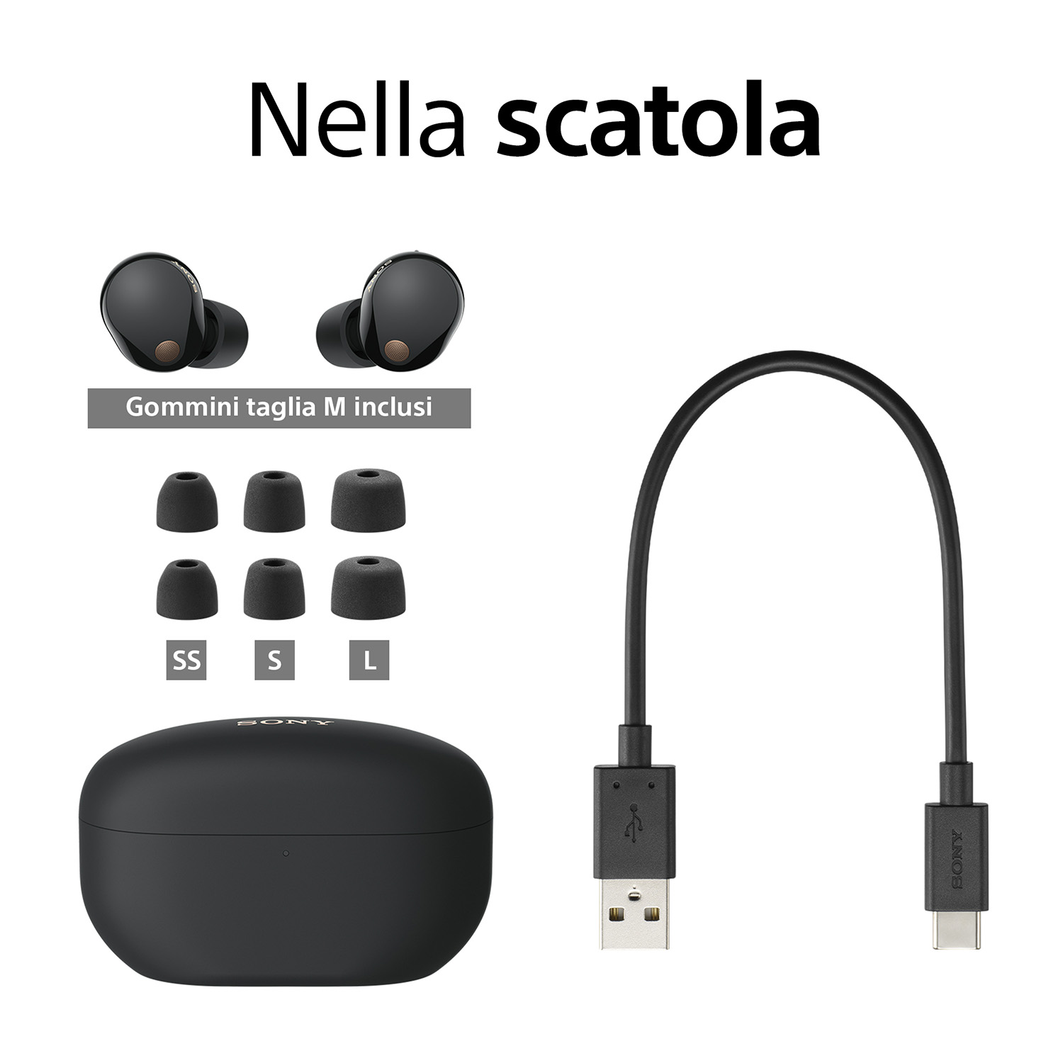 Auricolari e accessori: custodia, gommini e cavo carica.