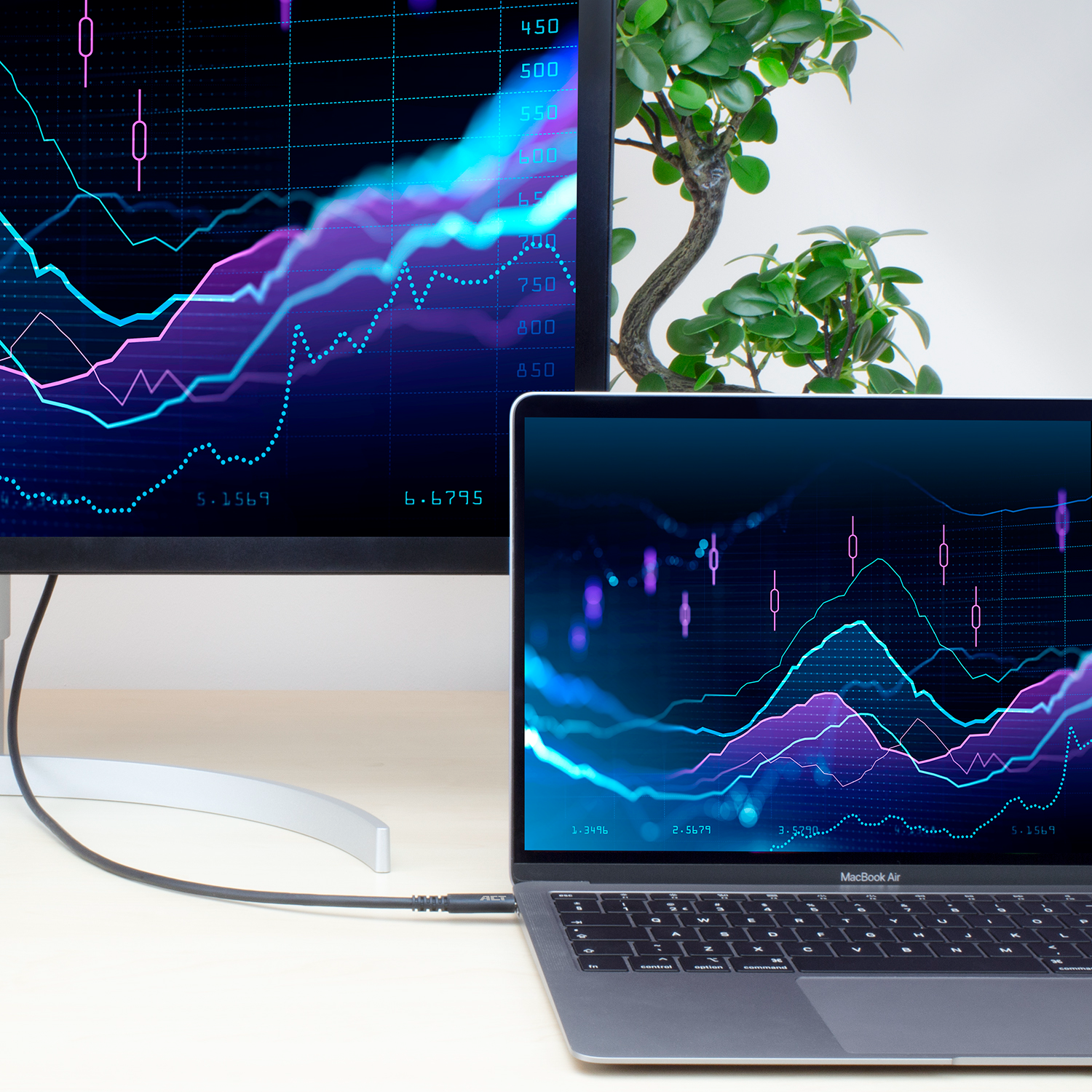 Laptop en monitor tonen financiële gegevensgrafieken. Een kleine bonsai staat op tafel. Een kabel verbindt de apparaten.
