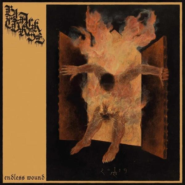 Black Curse - Endless Wound (Black Vinyl) (Vinyl) 