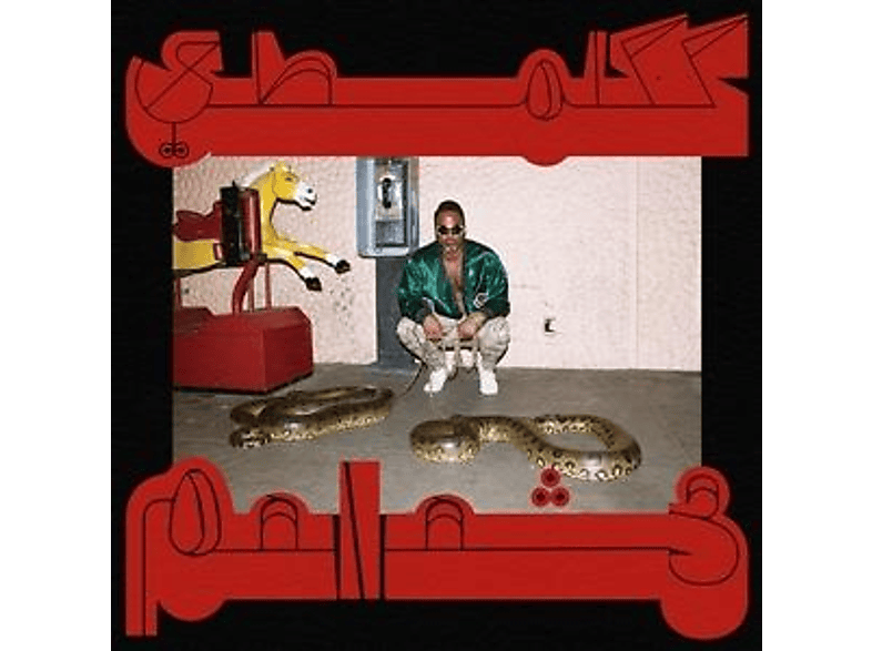 Shabazz Palaces - Robed in Rareness  - (CD)