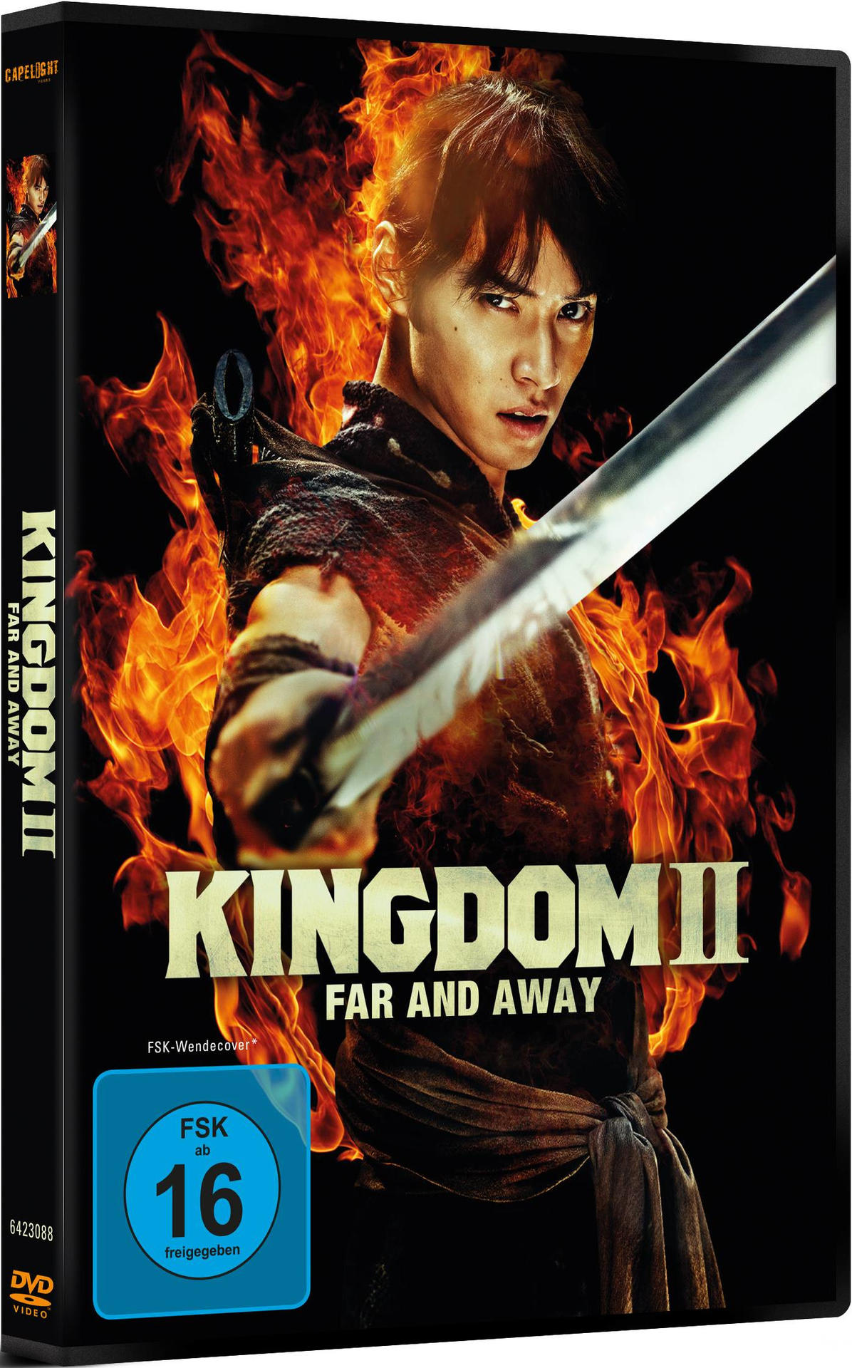 DVD-Cover des Films Kingdom II. Ein Mann hält ein Schwert vor einem Feuer.