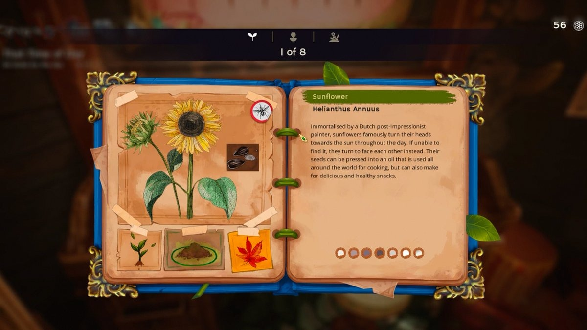 Een open boek met een zonnebloemillustratie. Tekst beschrijft de geschiedenis en het gebruik van de zonnebloem.