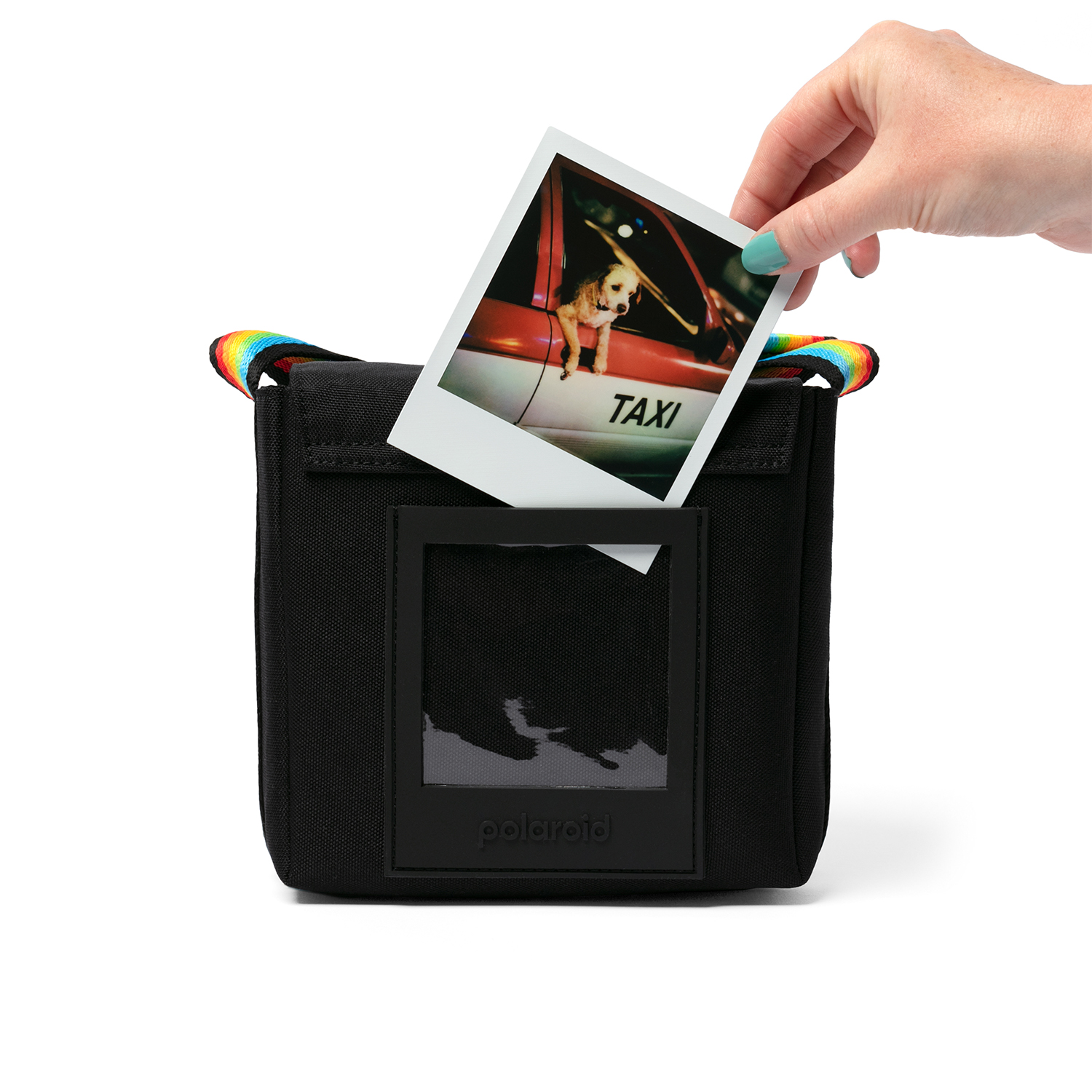 Mano che tiene una foto Polaroid. Borsa nera con cinturino arcobaleno. Foto mostra cane in taxi.