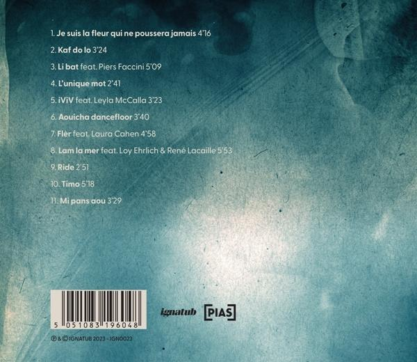 CD-Cover mit Songtiteln und Barcode. Blauer und grüner Aquarellhintergrund.