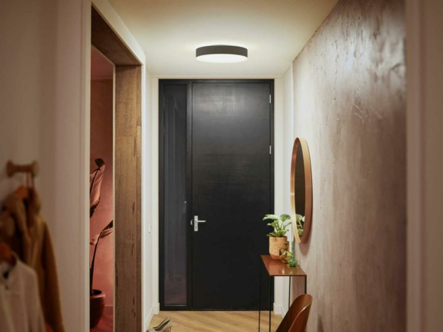 Korytarz z czarnymi drzwiami i lustrem. Jest wieszak na ubrania i roślina na stole.