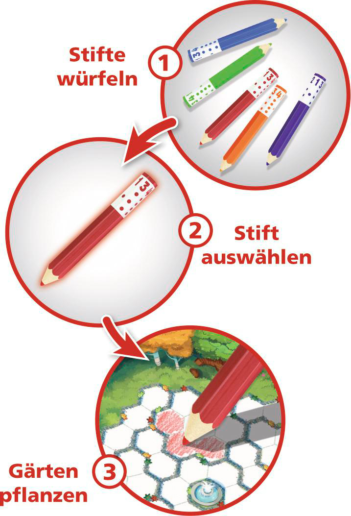 Diagramm, das die Schritte eines Spiels zeigt: Stifte würfeln, einen auswählen und in einem Garten pflanzen.