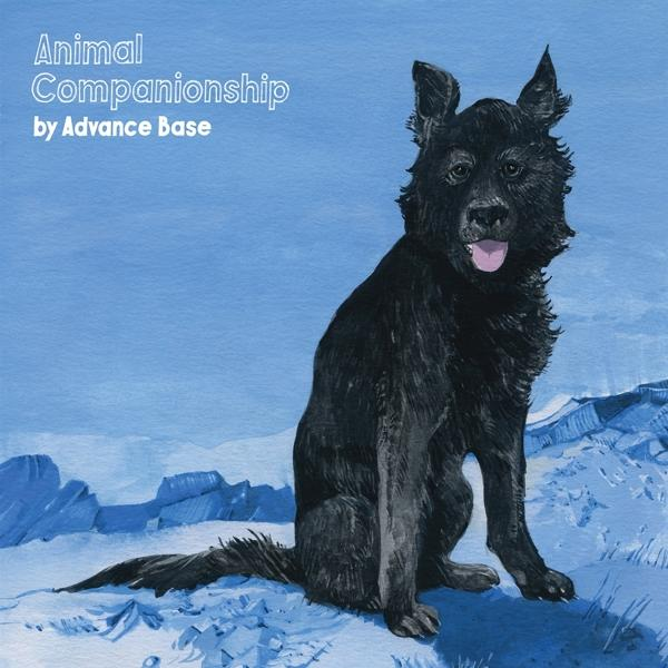 Advance Base - ANIMAL COMPANIONSHIP - (Vinyl) Vinyl) (Clear
