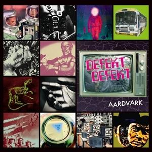 Defektdefekt - Aardvark - (Vinyl)