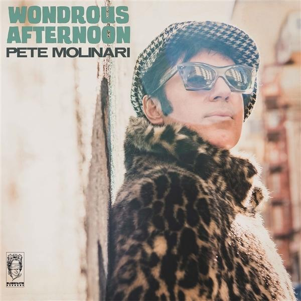 Pete Molinari - Wondrous Afternoon - (Vinyl)