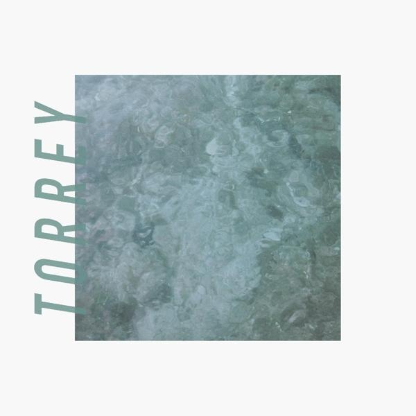 (Vinyl) Torrey Torrey - -