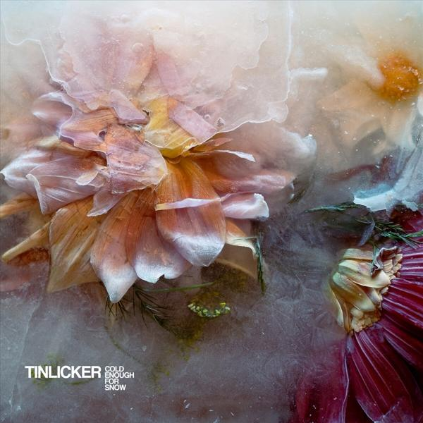 - Tinlicker Cold - Enough For (CD) Snow