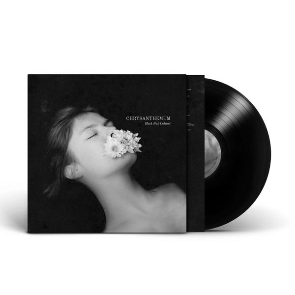 (Vinyl) - - Black (Black Cabaret Vinyl) Chrysanthemum Nail