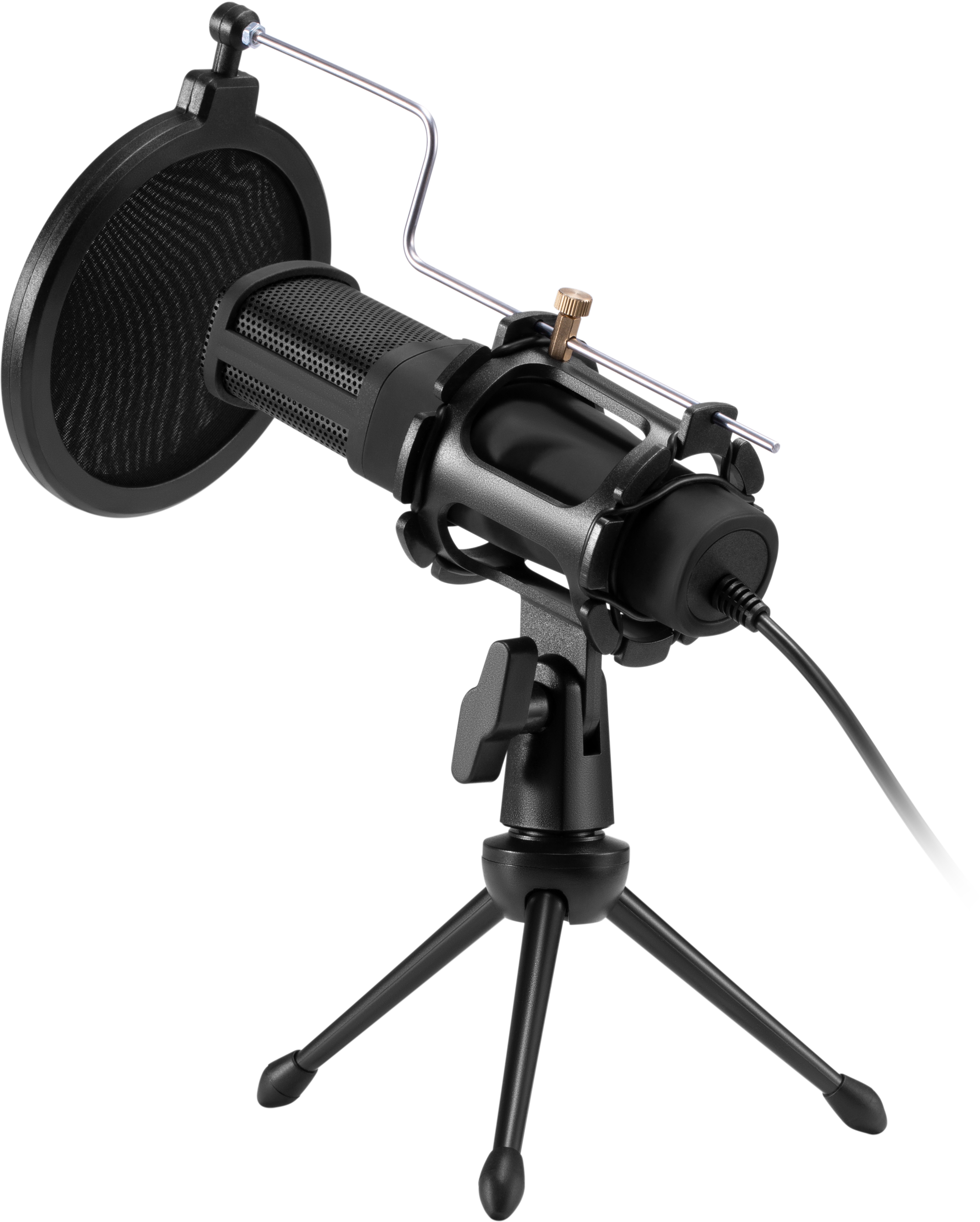 Ein schwarzes Mikrofon auf einem Ständer mit einem Pop-Filter.
