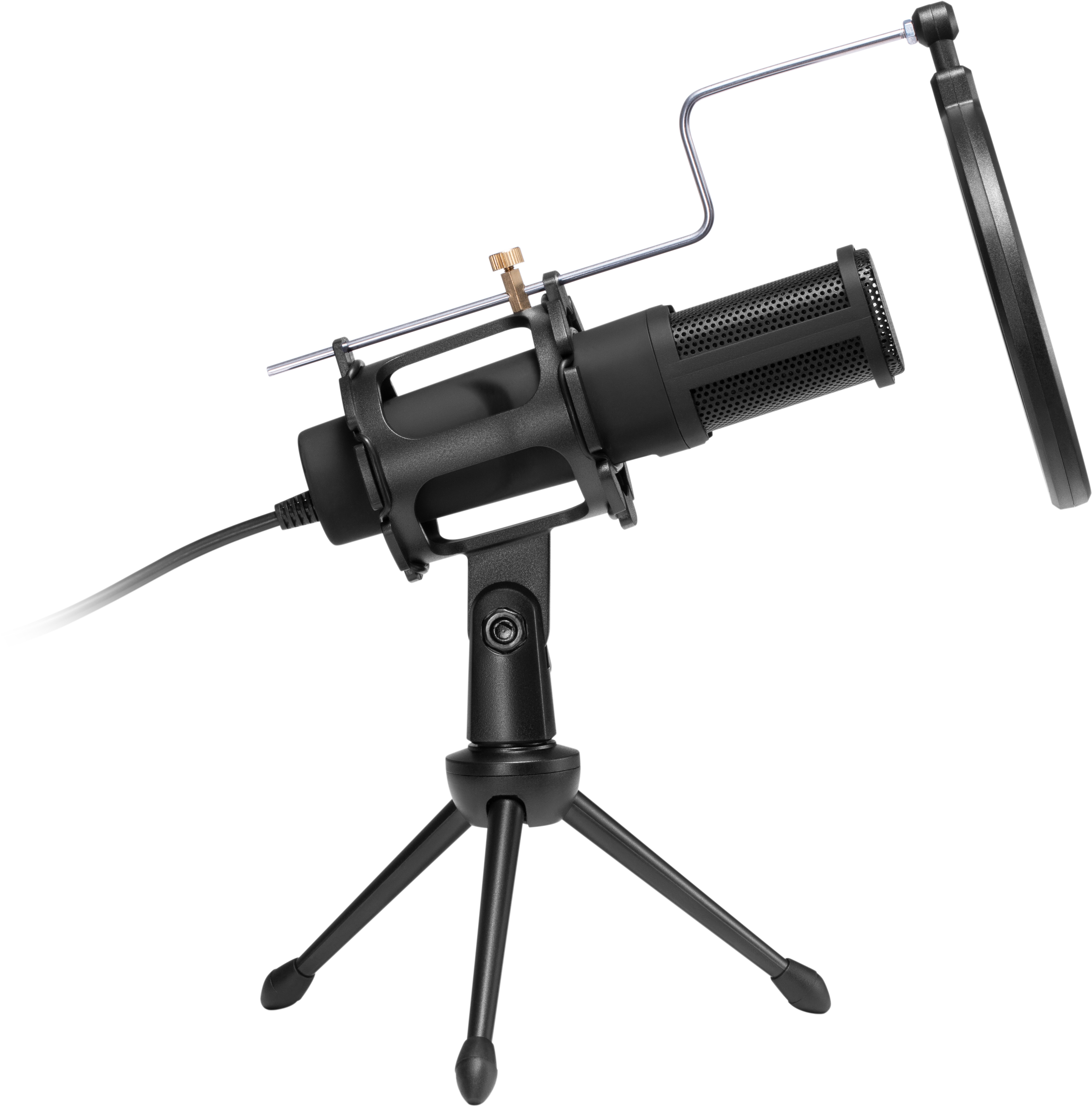 Schwarzes Mikrofon auf einem Stativ mit Pop-Filter. Es ist nach oben abgewinkelt.