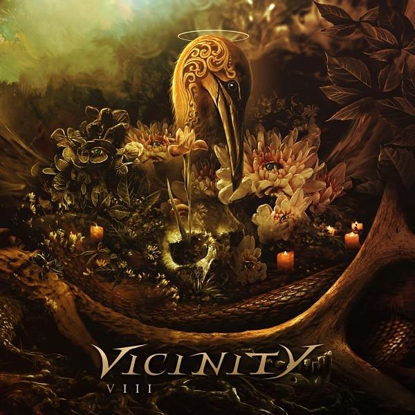 Vicinity - VIII - (Vinyl)