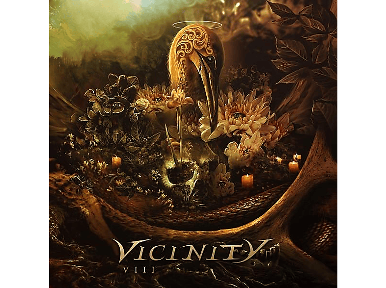 Vicinity - VIII  - (Vinyl)