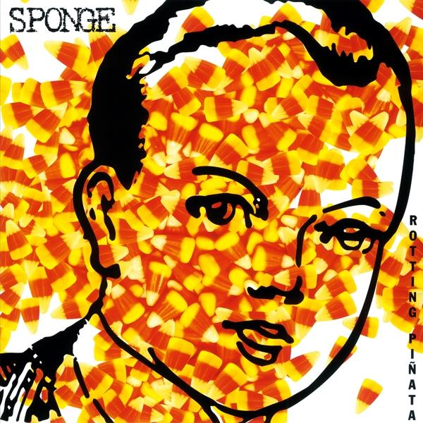 - Sponge (Vinyl) ROTTING - PINATA