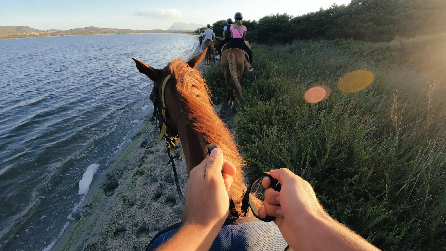 Vue à la première personne d'une balade à cheval au bord de la mer. Tête de cheval, eau, plage et personnes au loin.