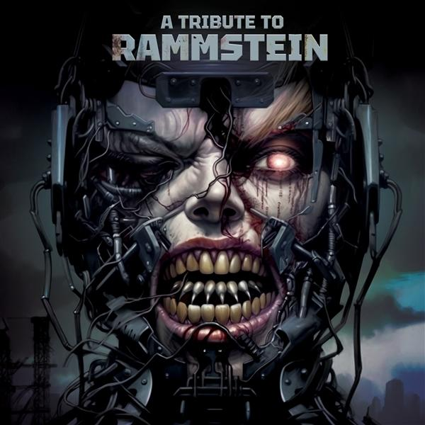 VARIOUS - A Tribute To Rammstein (Vinyl) 