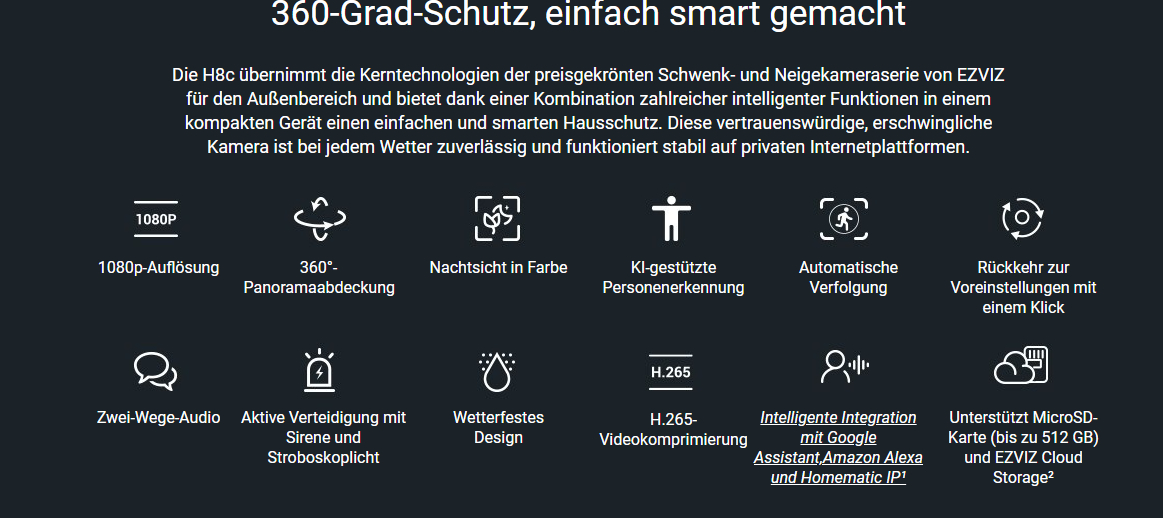 Bild mit Symbolen für eine Überwachungskamera, mit 1080p, 360-Grad-Ansicht, Nachtsicht und Personenerkennung.