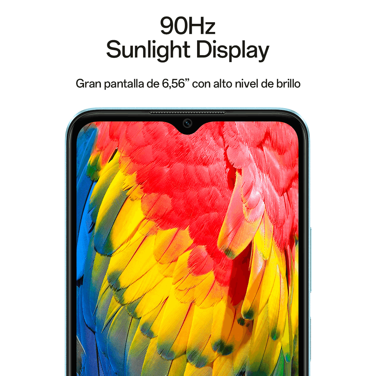 Primer plano de pantalla de smartphone con diseño de plumas de loro colorido.