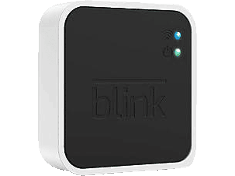 BLINK Sync Module 2, Lokaler Speicherplatz