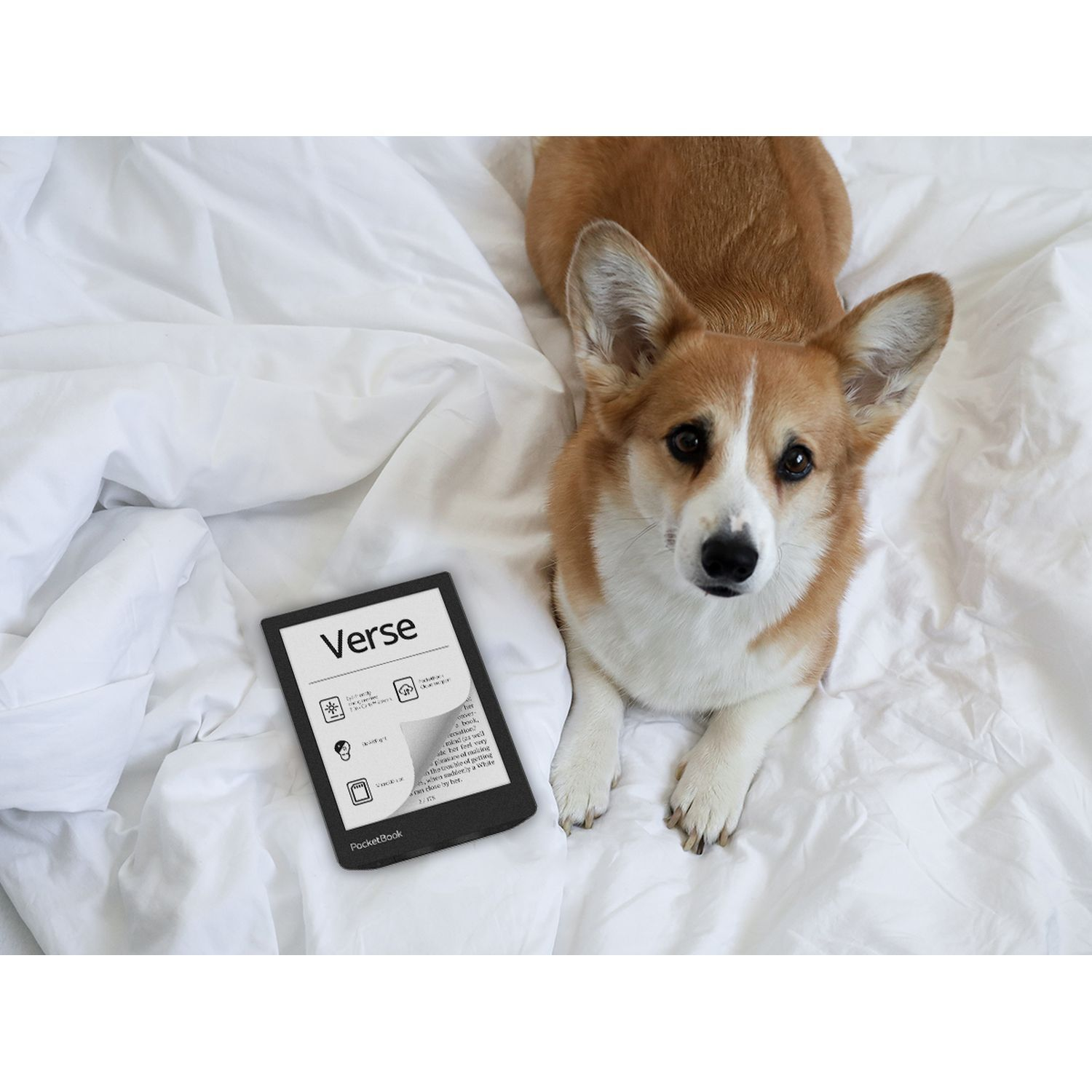 A corgi lies on a bed next to an e-reader displaying text, with the word 'Verse' visible.
