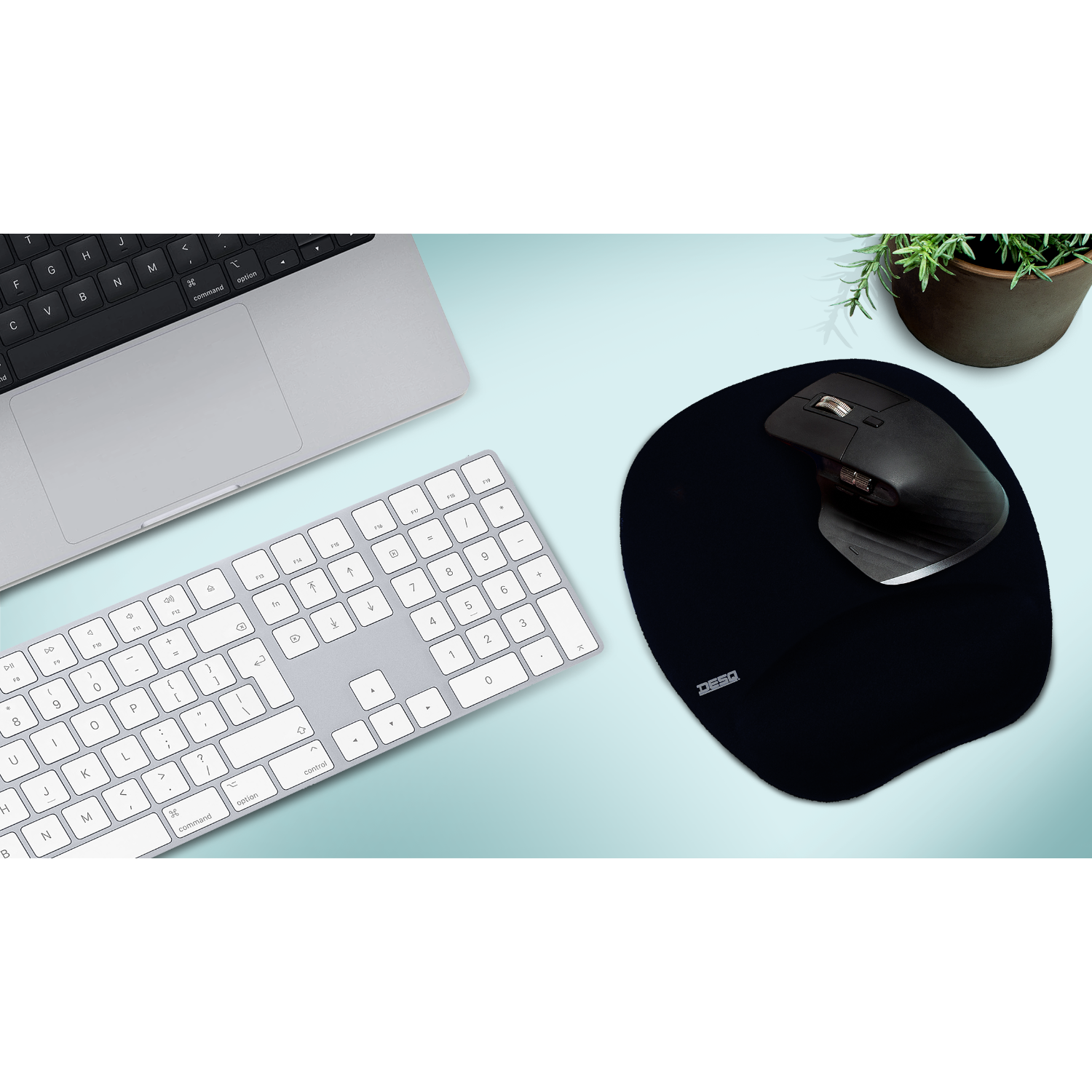 A workspace with a laptop, keyboard, mouse, and a plant. The background is light blue.
