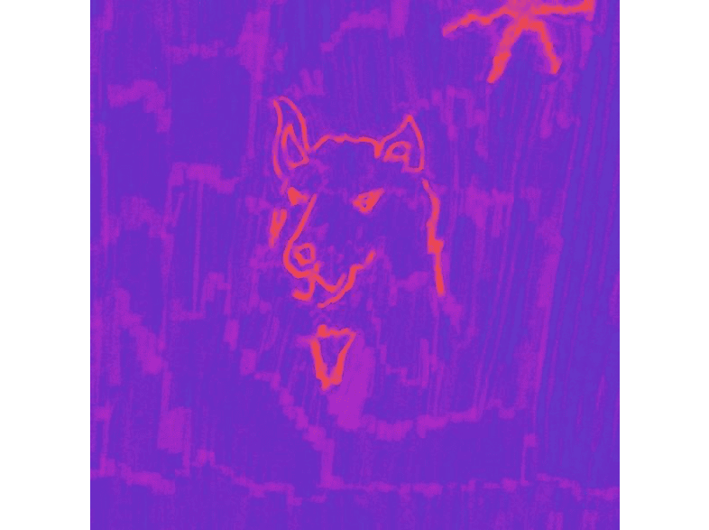 Dehd | Poetry - (CD) | SATURN
